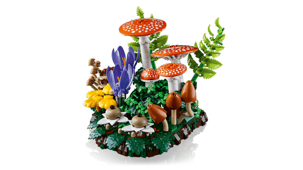 Woodland Mushrooms — 3