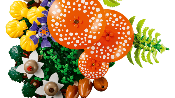 Woodland Mushrooms — 4