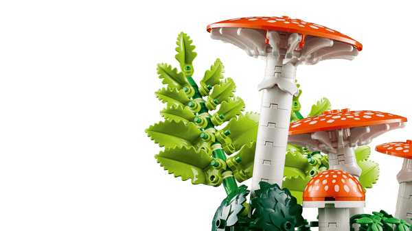 Woodland Mushrooms — 5