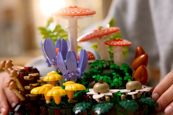 Woodland Mushrooms — 7