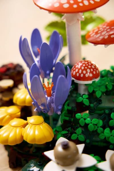 Woodland Mushrooms — 9