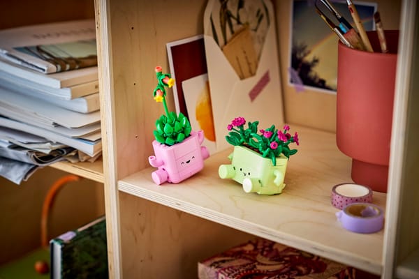 Rocking Plants — 11