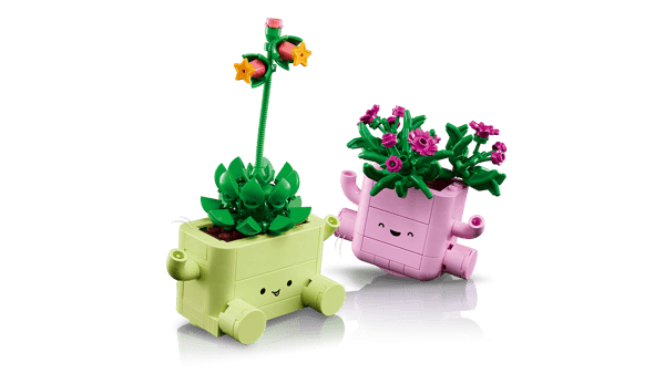 Rocking Plants — 5