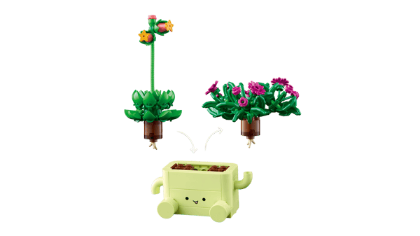 Rocking Plants — 6