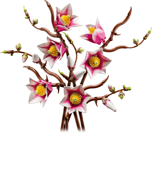 Magnolia Branches — 2