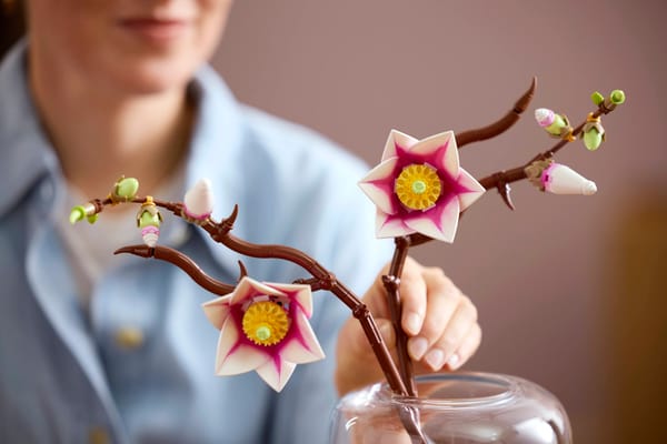 Magnolia Branches — 11