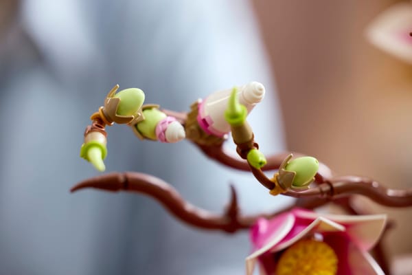 Magnolia Branches — 13