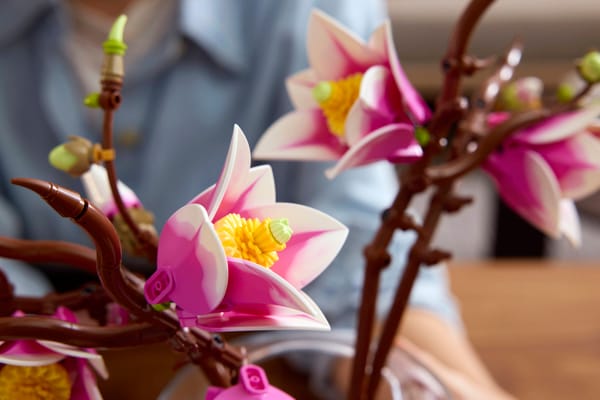 Magnolia Branches — 15