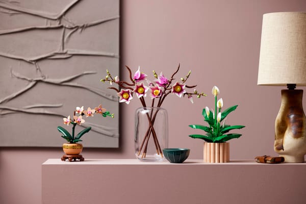 Magnolia Branches — 18