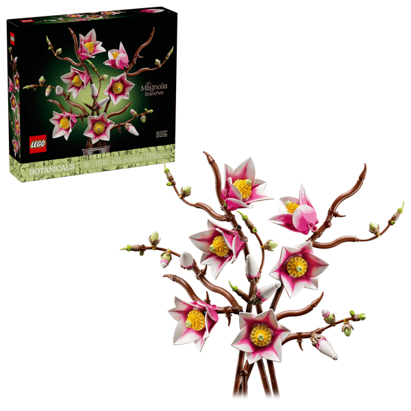 Magnolia Branches