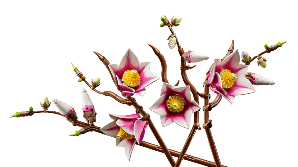 Magnolia Branches — 5