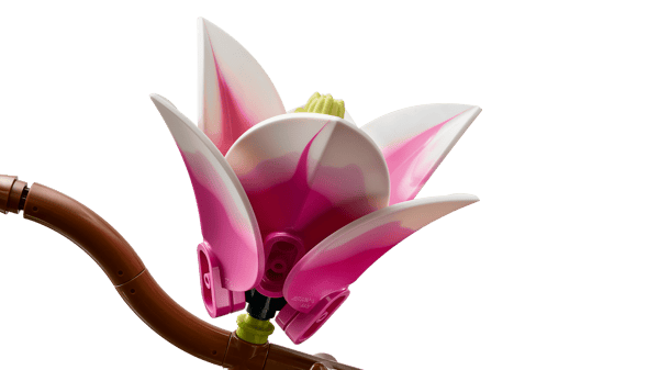Magnolia Branches — 6