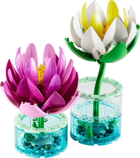 Water Lilies — 2