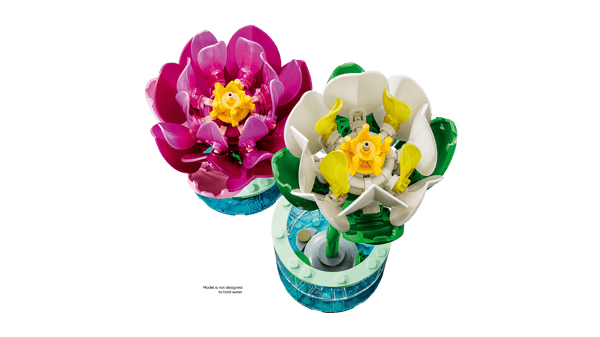 Water Lilies — 3