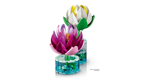 Water Lilies — 4