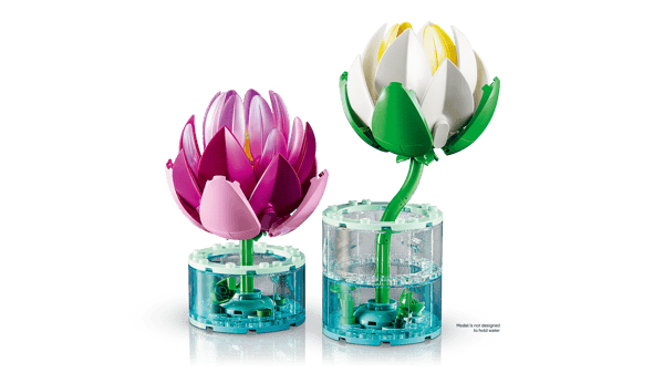 Water Lilies — 5