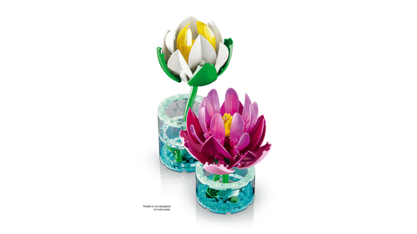 Water Lilies — 6