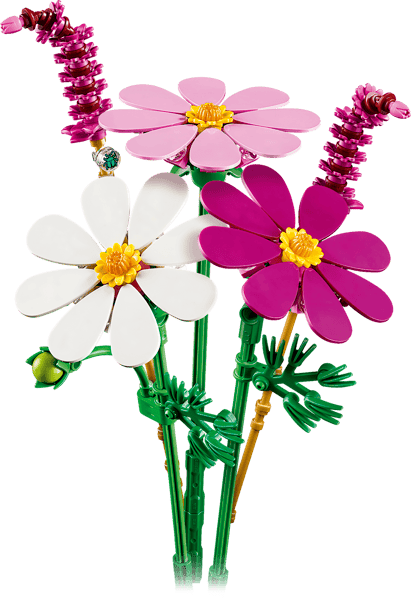 Cosmos Flowers — 2