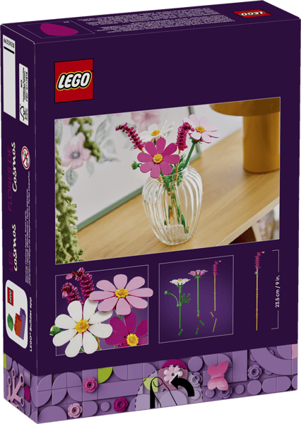 Cosmos Flowers — 10