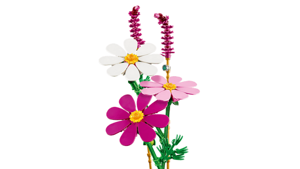 Cosmos Flowers — 3