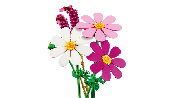 Cosmos Flowers — 4