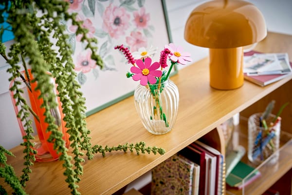 Cosmos Flowers — 9