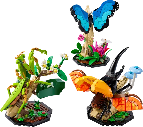 The Insect Collection — 2