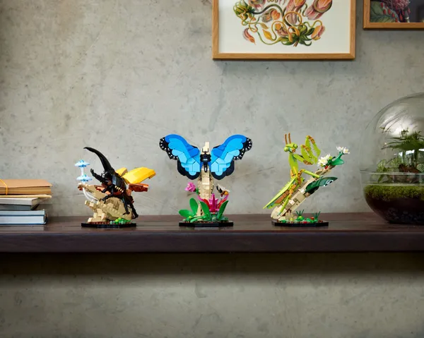 The Insect Collection — 10