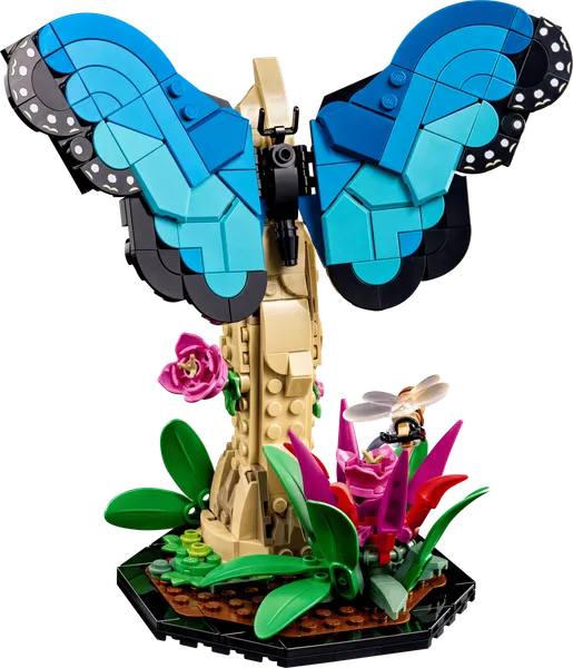 The Insect Collection — 3