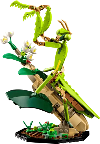 The Insect Collection — 4