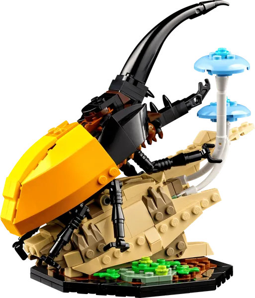 The Insect Collection — 5