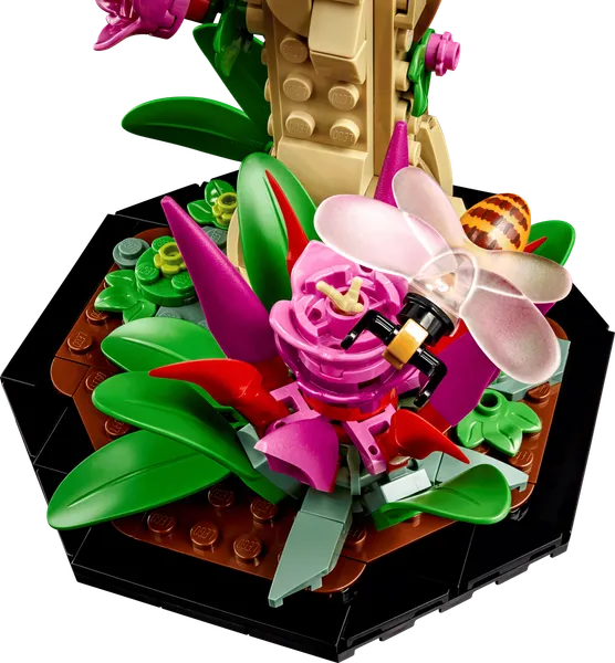 The Insect Collection — 6