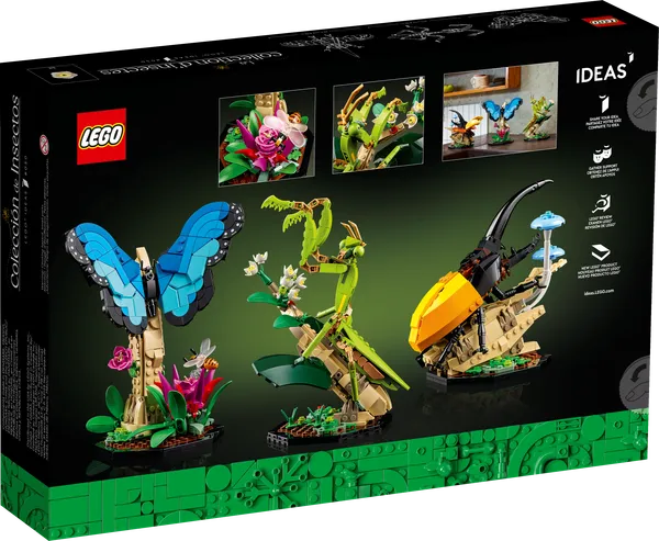The Insect Collection — 7