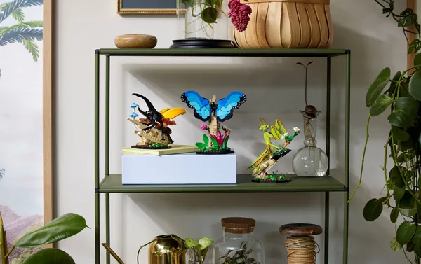 The Insect Collection — 9