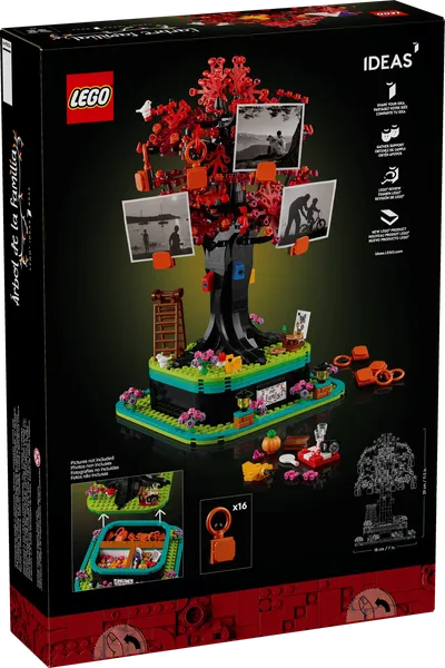 Family Tree — 6