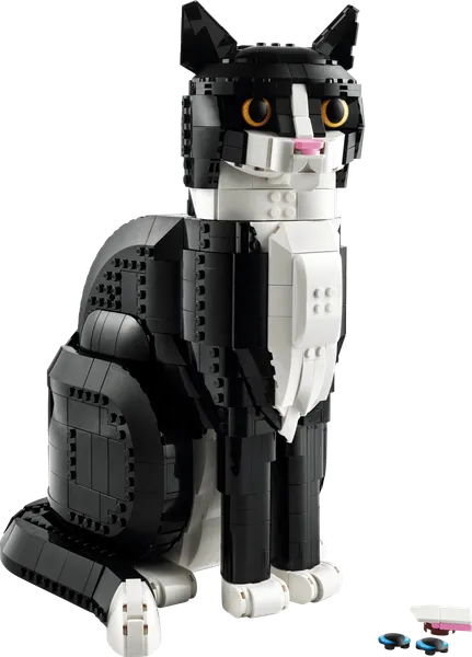 Tuxedo Cat — 2