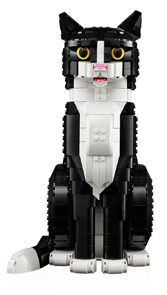 Tuxedo Cat — 3