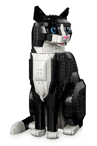 Tuxedo Cat — 4