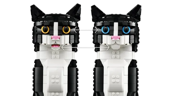 Tuxedo Cat — 5