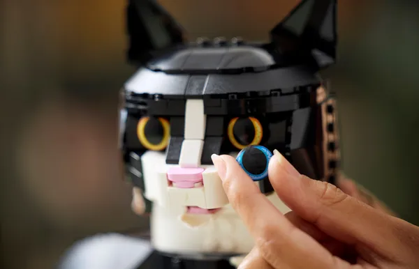 Tuxedo Cat — 7