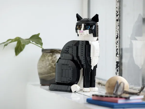 Tuxedo Cat — 9