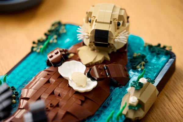Floating Sea Otters — 10