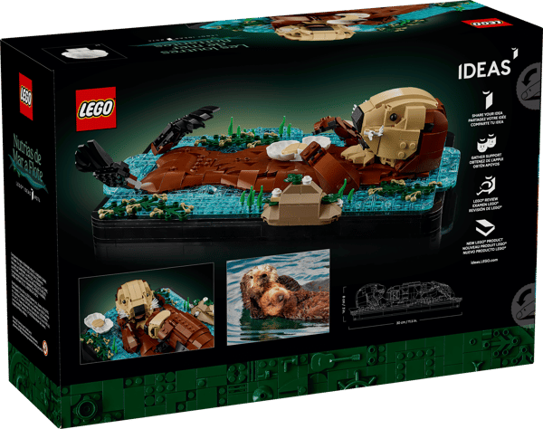 Floating Sea Otters — 16