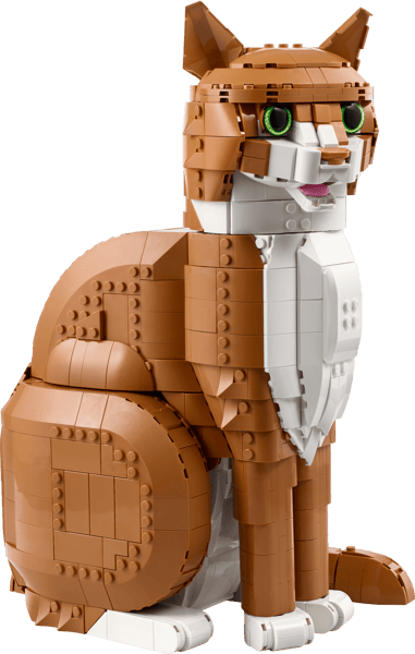 Orange Cat — 2