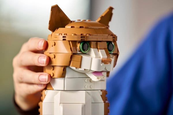 Orange Cat — 11