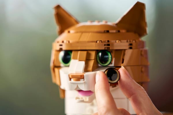 Orange Cat — 12