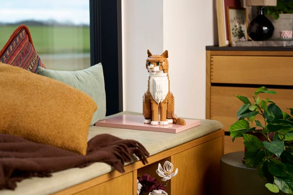 Orange Cat — 13