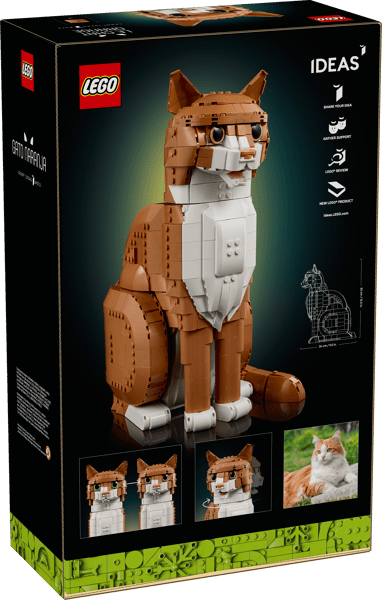 Orange Cat — 15