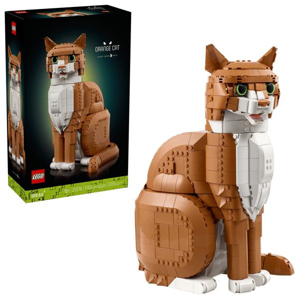 Orange Cat