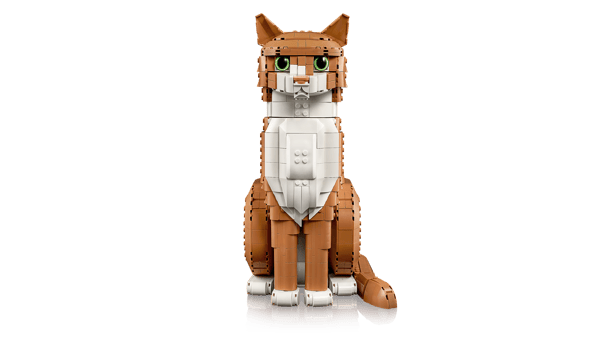 Orange Cat — 3